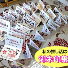 気付いたら・・・推し活に(*´ω`*)