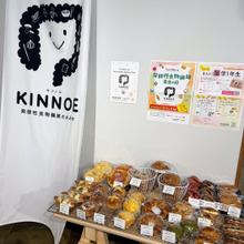 【最新の腸活】美と健康のために摂りたい「発酵性食物繊維」について学んできた!