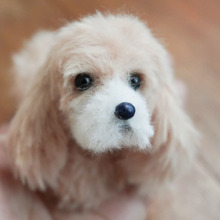 手芸動画/100均モールを使った犬の作り方・コッカースパニエル