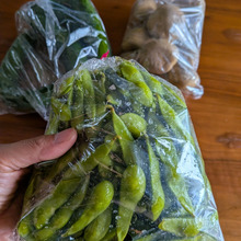 【農家直売所】朝の散歩で最高の野菜GET!