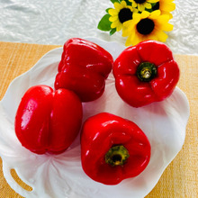パプリカは野菜の宝石
