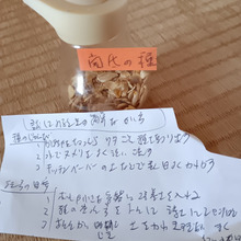 私が作った栗かぼちゃ その種を 来年に 植えるため