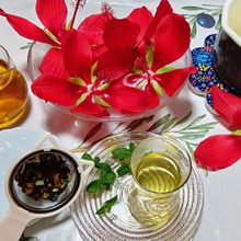 夏こそ野草の力!わが家で愛飲している夏バテ対策ドリンク3選