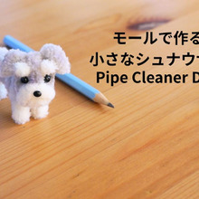 セリアのモールで作る小さなシュナウザー