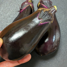 【朝どれ野菜】新鮮な茄子の見分け方