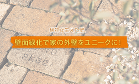 壁面緑化で家の外壁をユニークに!植物を取り入れた壁を