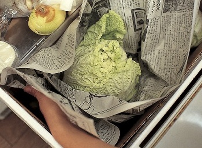 白菜は新聞紙に包み、冷暗所で保存を