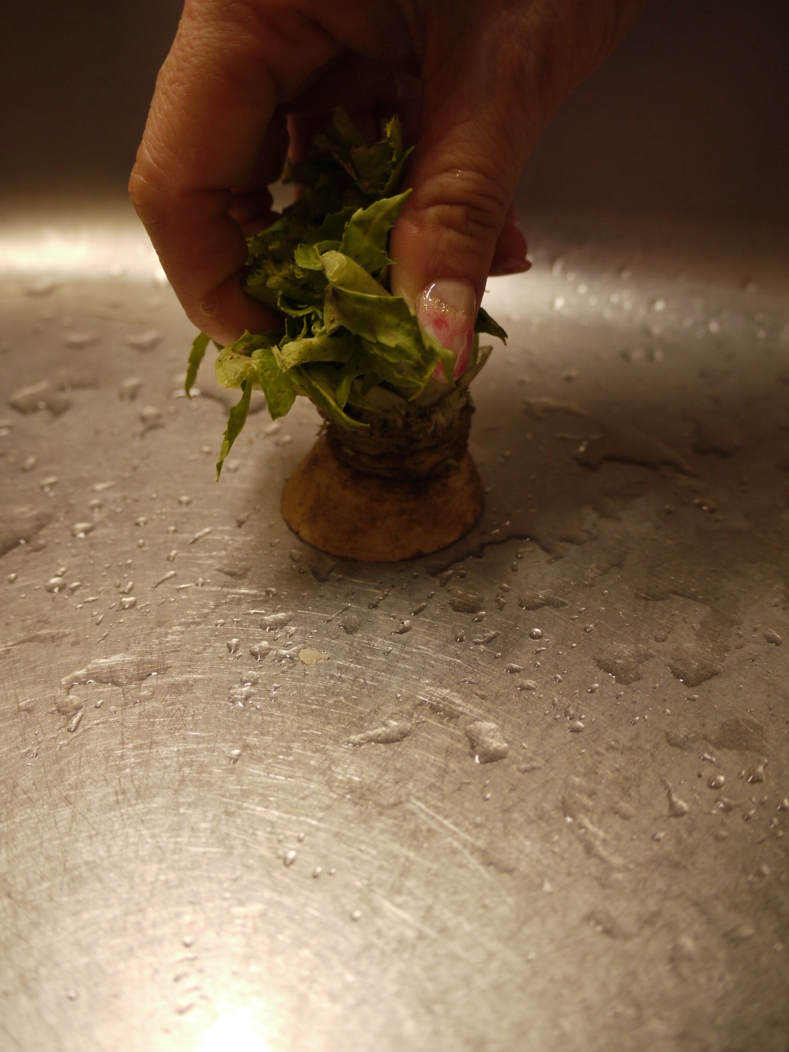 調理をしながら、野菜の切れ端でシンクのお掃除