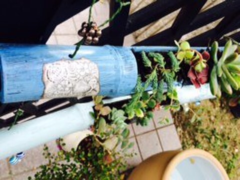 竹の多肉プランター 暮らしニスタ 竹の多肉プランター 暮らしニスタ