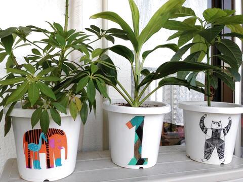 並べてかわいい ダイソーの白色プラスチック植木鉢にペーパーナプキンをデコパージュ 暮らしニスタ 並べてかわいい ダイソーの白色プラスチック植木鉢にペーパーナプキンをデコパージュ 暮らしニスタ