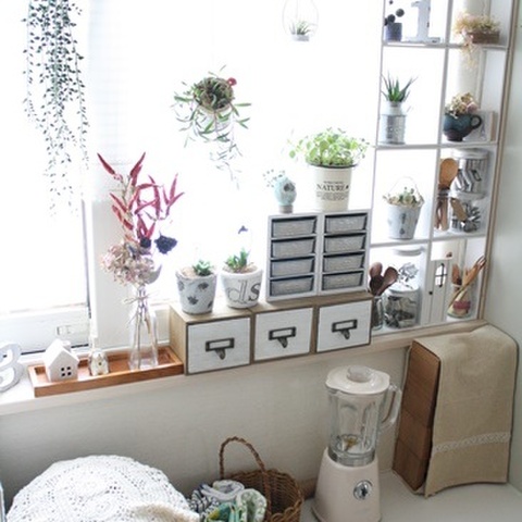 グリーンと100均で キッチン窓際は楽しい空間 暮らしニスタ グリーンと100均で キッチン窓際は楽しい空間 暮らしニスタ