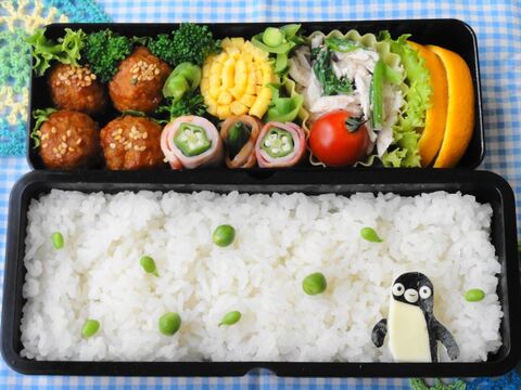 中学男子や大人でも 可愛すぎないスイカ弁当 暮らしニスタ 中学男子や大人でも 可愛すぎないスイカ弁当 暮らしニスタ