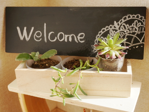 超人気 多肉植物をおしゃれに飾る7つのアイデア 暮らしニスタ 超人気 多肉植物をおしゃれに飾る7つのアイデア 暮らしニスタ