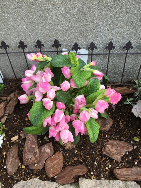 U6vnzoqejhgxvm U6vnzoqejhgxvm