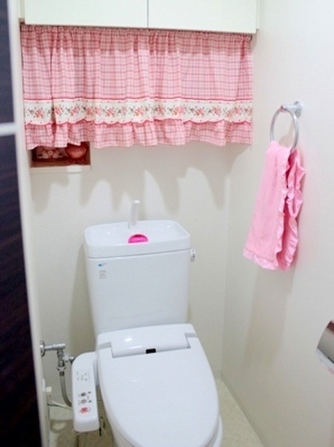トイレブラシにさよなら 我が家のズボラトイレ掃除法 暮らしニスタ トイレブラシにさよなら 我が家のズボラトイレ掃除法 暮らしニスタ