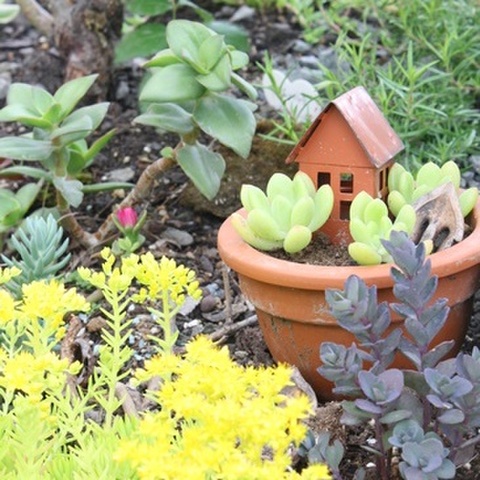 100均雑貨プラスでお気に入りのガーデンに 暮らしニスタ