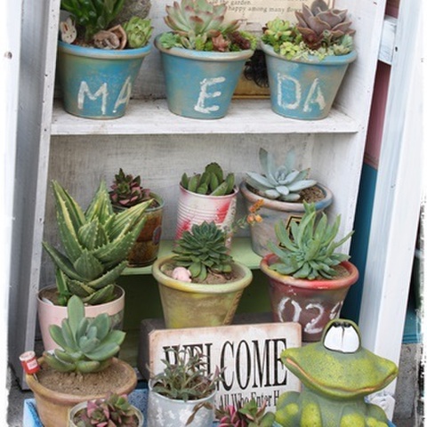 おしゃれでかわいい 植木鉢の簡単手作り リメイクアイデア集 暮らしニスタ おしゃれでかわいい 植木鉢の簡単手作り リメイクアイデア集 暮らしニスタ