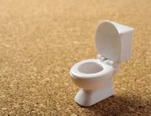 トイレの菌は、ホコリを栄養源にして増殖する！？知らないと怖いトイレ事情