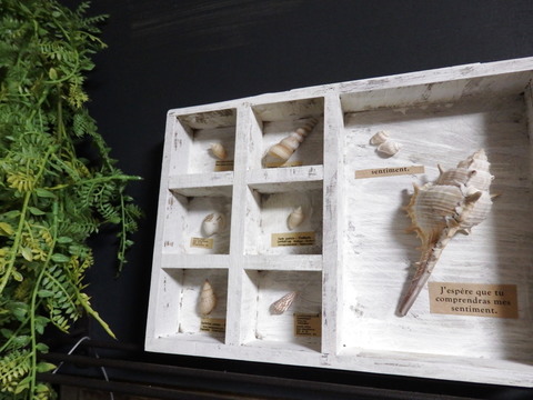 100均の貝殻でディスプレイbox風 暮らしニスタ 100均の貝殻でディスプレイbox風 暮らしニスタ