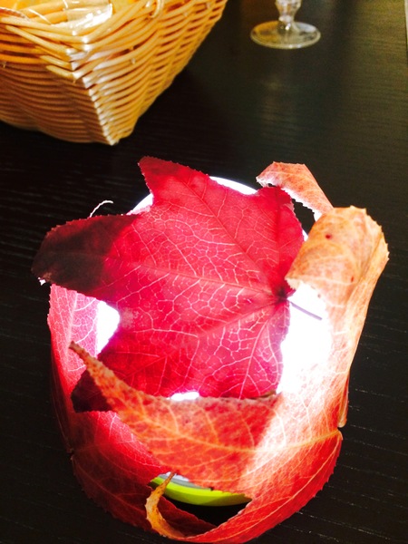 キレイな落ち葉を使って！秋を感じるランプ