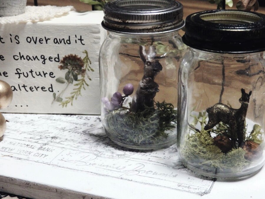 おしゃれなテラリウムを楽しもう 基本の作り方からおしゃれアイデアまで 暮らしニスタ おしゃれなテラリウムを楽しもう 基本の作り方からおしゃれアイデアまで 暮らしニスタ