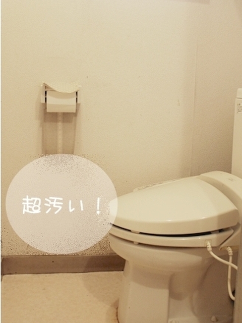 トイレを板壁 腰壁 にプチdiy 暮らしニスタ