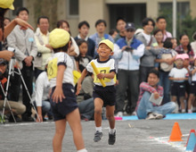 今期「運動会」の総集編！ビックリ＆おもしろハプニング集！