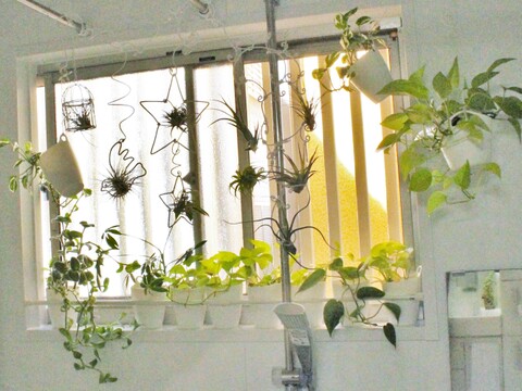 ワイヤークラフトで エアプランツと観葉植物を浴室ディスプレイ 暮らしニスタ