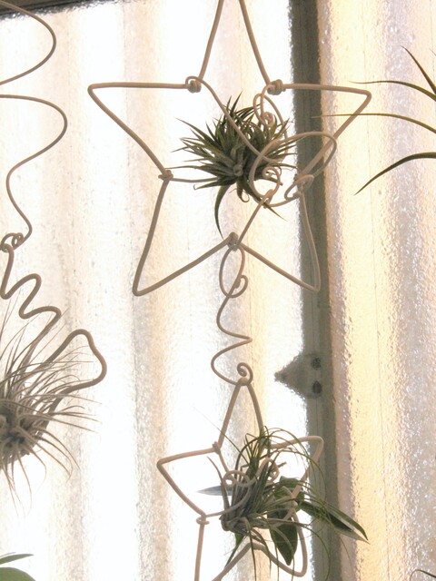 ワイヤークラフトで エアプランツと観葉植物を浴室ディスプレイ 暮らしニスタ ワイヤークラフトで エアプランツと観葉植物を浴室ディスプレイ 暮らしニスタ