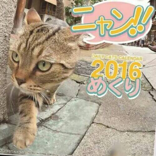 猫グッズの定番！2016年度おすすめ猫カレンダー