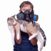猫と暮らし始めたのにアレルギーに！原因と2つの克服方法
