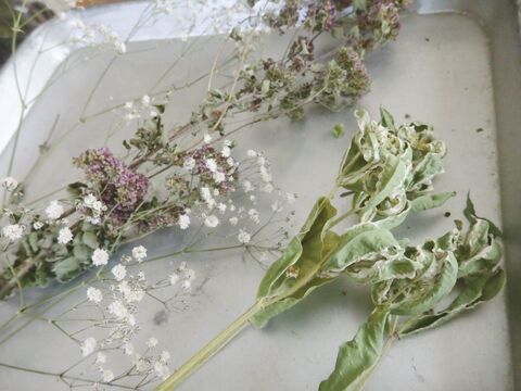 雑草じゃなく レモングラスです で作る天然アロマのリース風 暮らしニスタ 雑草じゃなく レモングラスです で作る天然アロマのリース風 暮らしニスタ