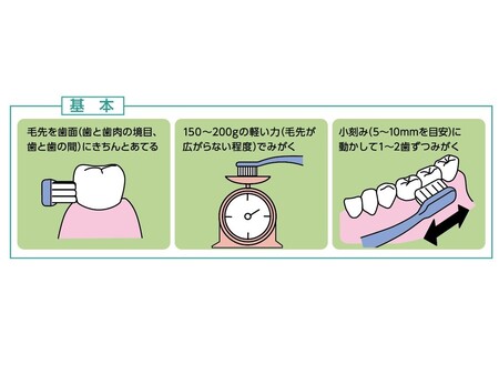 正しい歯磨きの方法をマスター!目指せ口元美人!! - 暮らしニスタ