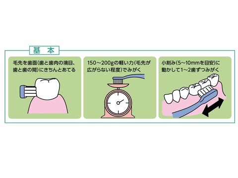 正しい歯磨きの方法をマスター 目指せ口元美人 暮らしニスタ