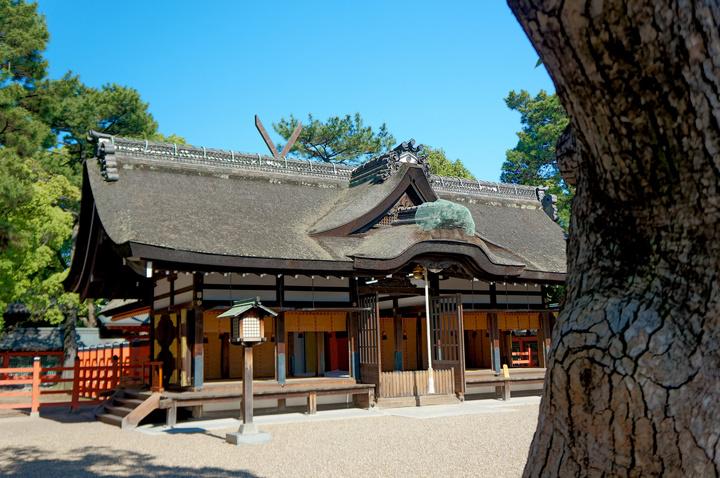 不吉?吉兆?忘れられない初詣の思い出