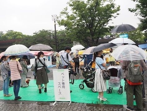 渋谷区はすべての避難所でペットを受け入れOK