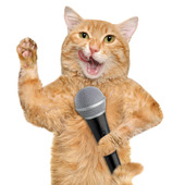 お猫様は音楽にもこだわりがあるらしい…。動物と音楽の不思議な関係