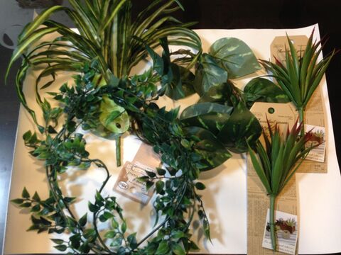 100均で額縁グリーンの作り方 暮らしニスタ 100均で額縁グリーンの作り方 暮らしニスタ