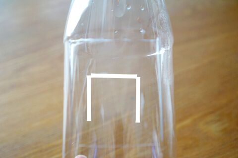 ペットボトルで 材料費0円のテラリウム 暮らしニスタ