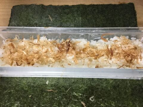 みんな大好き 我が家のスパムおにぎり 暮らしニスタ みんな大好き 我が家のスパムおにぎり 暮らしニスタ