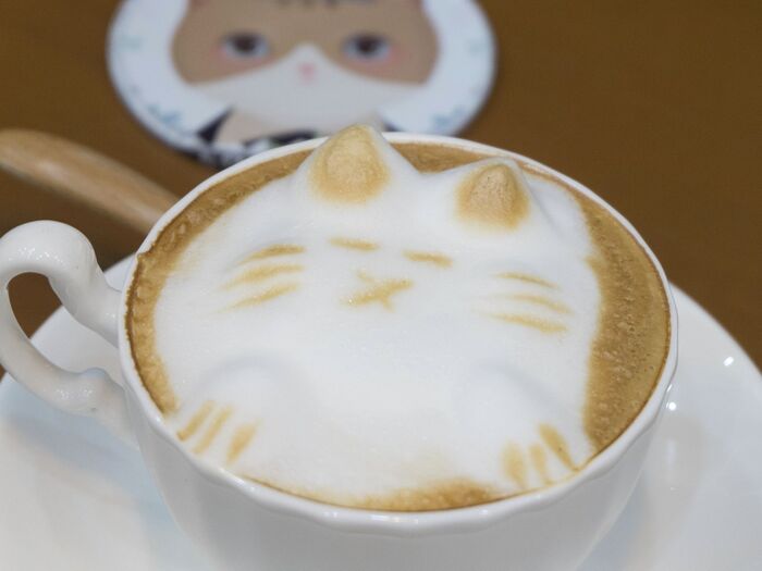 おうちカフェでほっこり♥可愛い猫のラテアートまとめ+作り方♪
