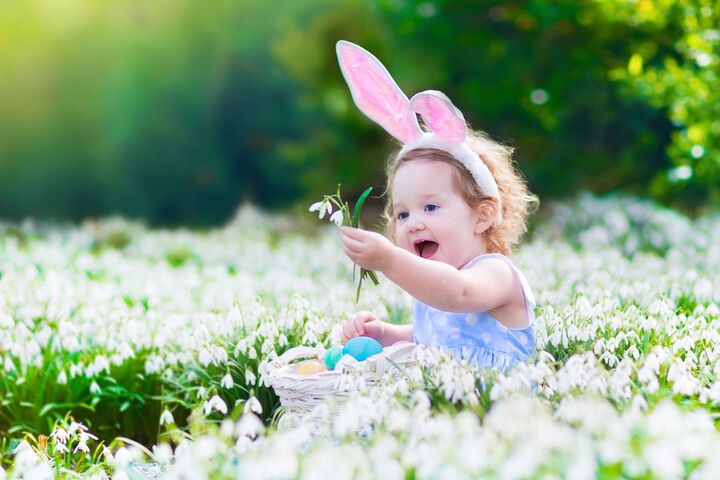 親子で楽しめる“おとぎ話”をモチーフにした映画5選