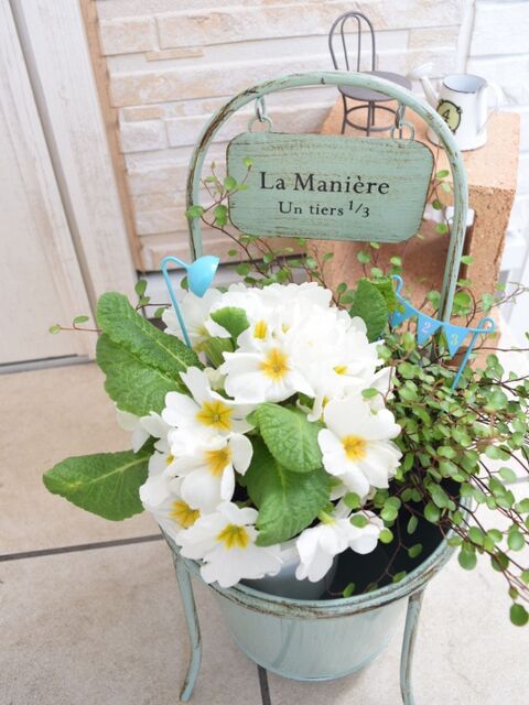 初心者さんもデキる 素敵にガーデニングを楽しむアイデア50選 暮らしニスタ 初心者さんもデキる 素敵にガーデニングを楽しむアイデア50選 暮らしニスタ