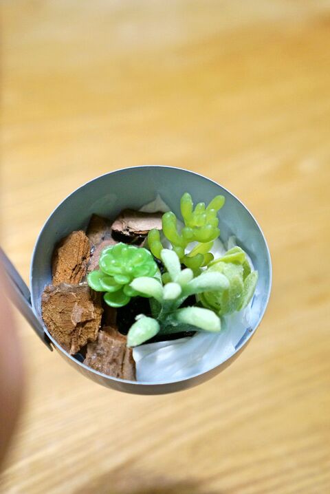 100均グッズで フェイク多肉植物リメイク 暮らしニスタ 100均グッズで フェイク多肉植物リメイク 暮らしニスタ