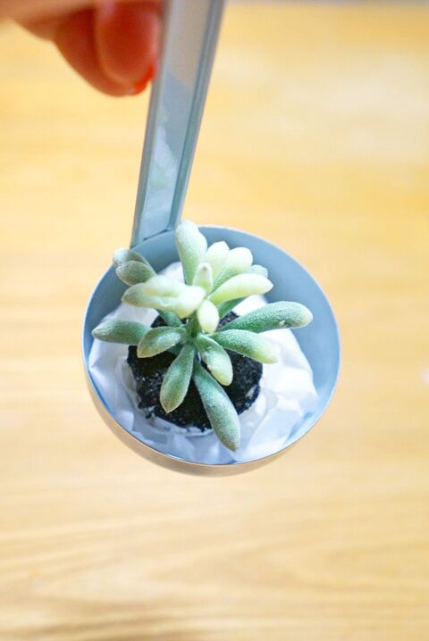 100均グッズで フェイク多肉植物リメイク 暮らしニスタ 100均グッズで フェイク多肉植物リメイク 暮らしニスタ