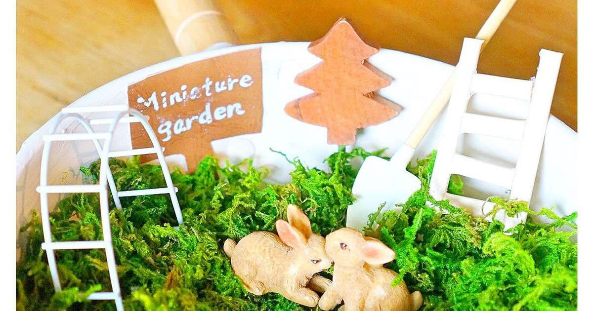 100均お鍋で作る！世界に１つの箱庭（miniature garden