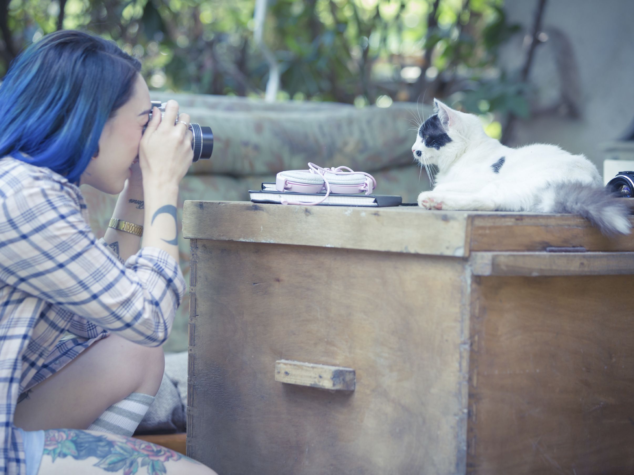 プロみたいな写真を撮りたい！猫をより可愛く写す3つの方法