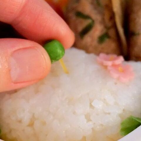 キャラ弁 型がなくてもできるニャンコおにぎり 暮らしニスタ
