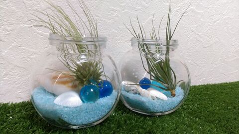 100均で作る 丸瓶 エアプランツでかわいいテラリウム 暮らしニスタ 100均で作る 丸瓶 エアプランツでかわいいテラリウム 暮らしニスタ