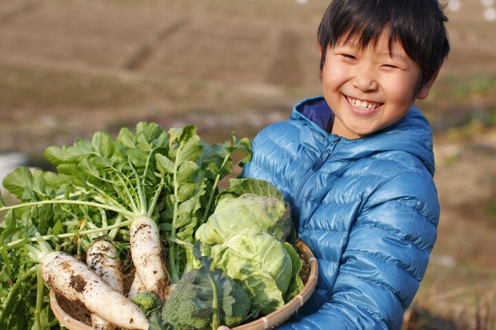 国産でも要注意!安心・安全な野菜を選ぶために知っておきたいこと